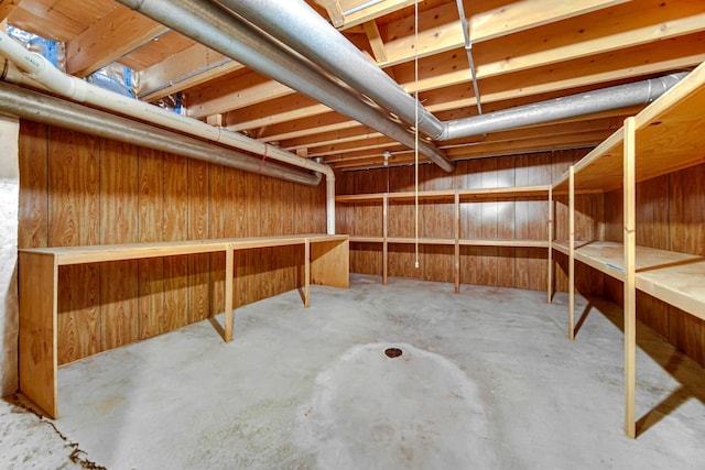 basement featuring wooden walls