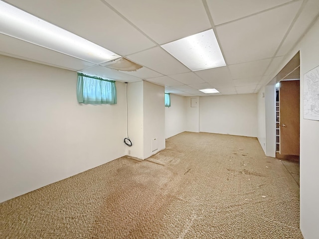 basement with carpet and a drop ceiling