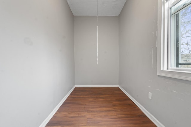 interior space featuring dark wood-type flooring and a wealth of natural light