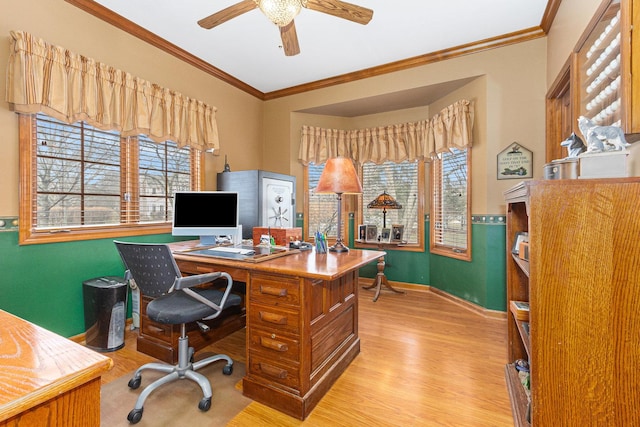 home office with ceiling fan, ornamental molding, and light hardwood / wood-style flooring