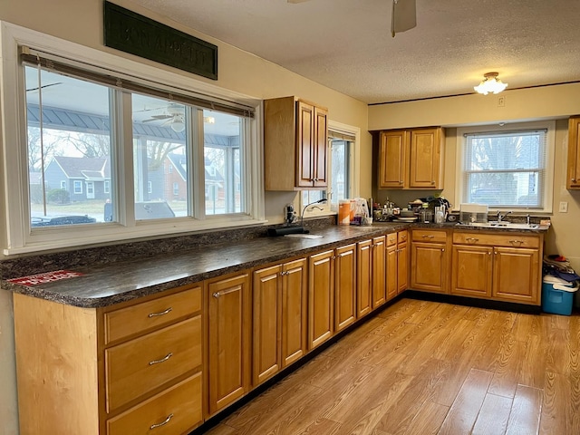 kitchen featuring ceiling fan, sink, a textured ceiling, and light wood-type flooring