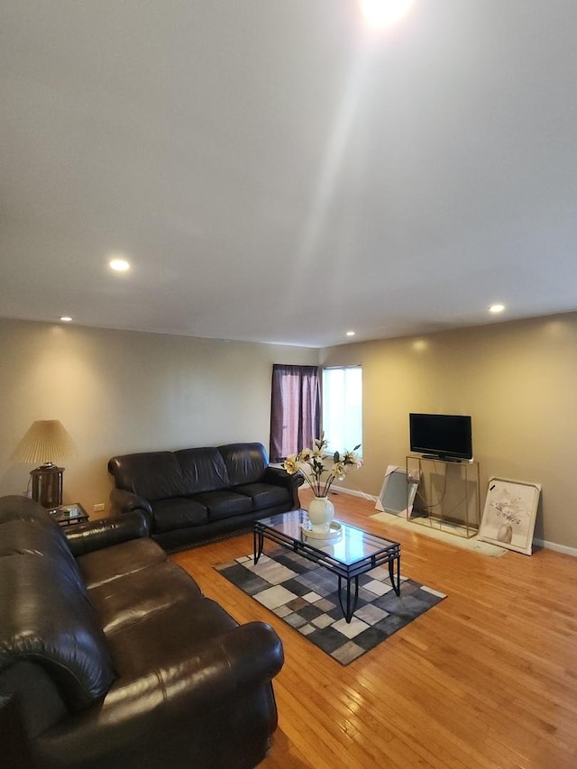 living room with wood-type flooring