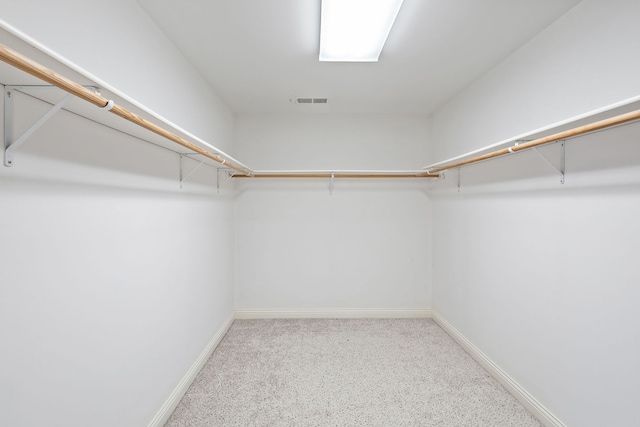 spacious closet with light carpet