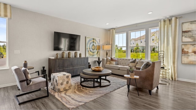 living room featuring wood-type flooring