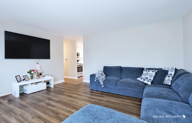 living room featuring dark wood-type flooring