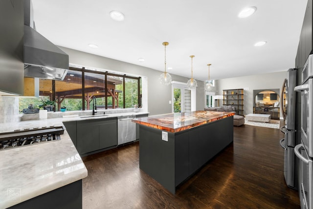 kitchen with dark hardwood / wood-style flooring, a center island, sink, and stainless steel appliances