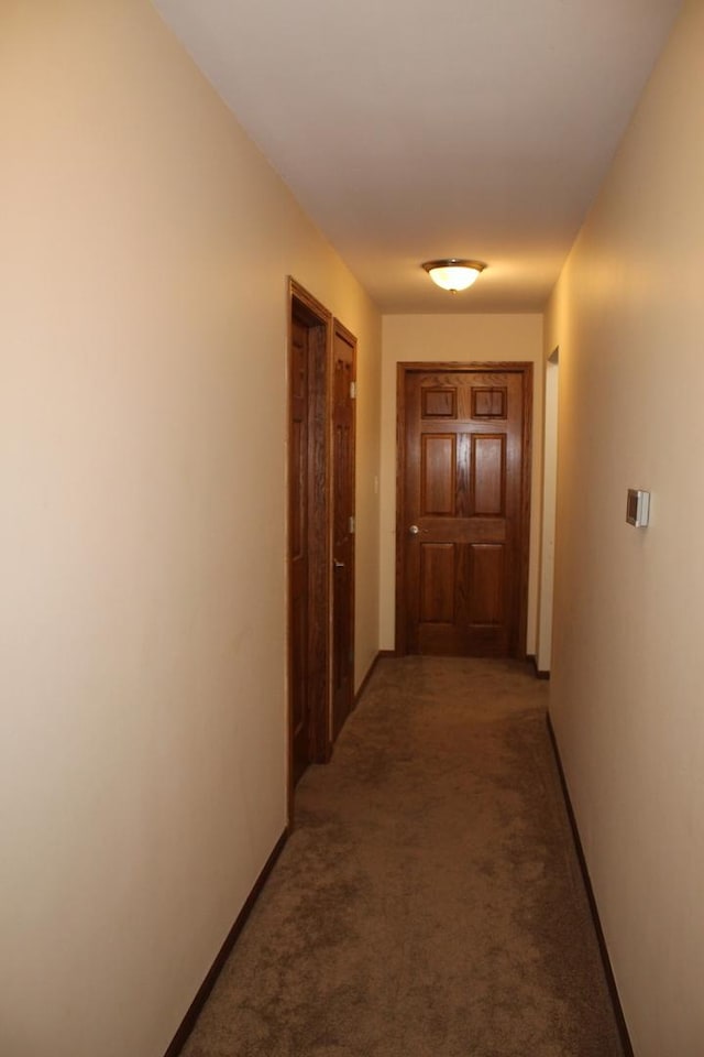 hallway with carpet floors