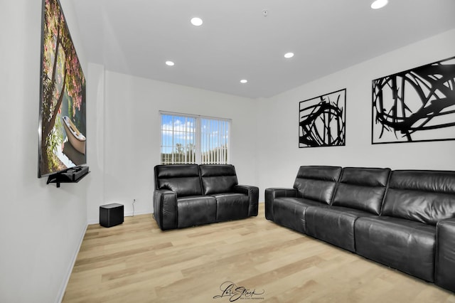 living room featuring light hardwood / wood-style flooring