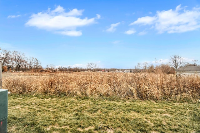 view of yard with a rural view