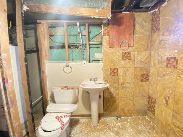 bathroom with toilet and sink