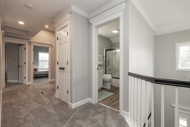 hallway featuring dark colored carpet, a healthy amount of sunlight, and ornamental molding