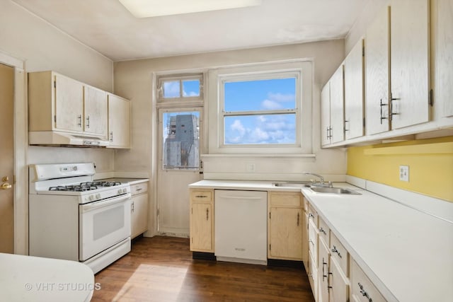 kitchen with dark hardwood / wood-style flooring, sink, and white appliances