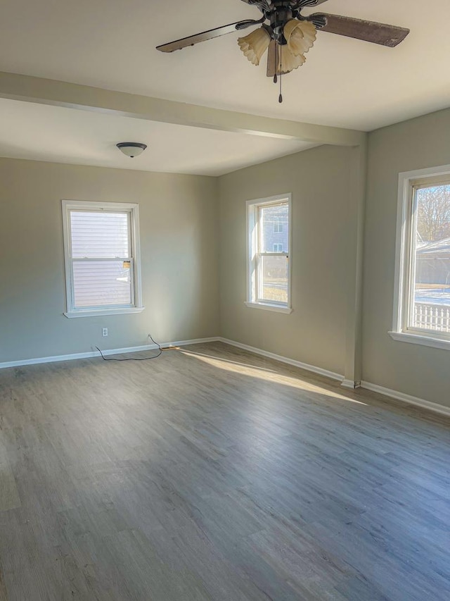 spare room featuring hardwood / wood-style floors and ceiling fan