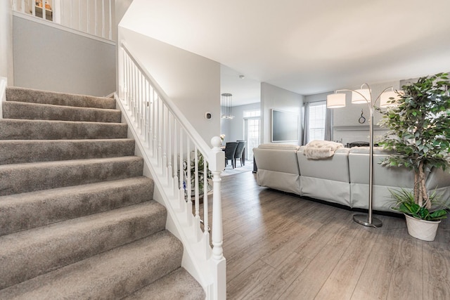 stairway featuring hardwood / wood-style floors