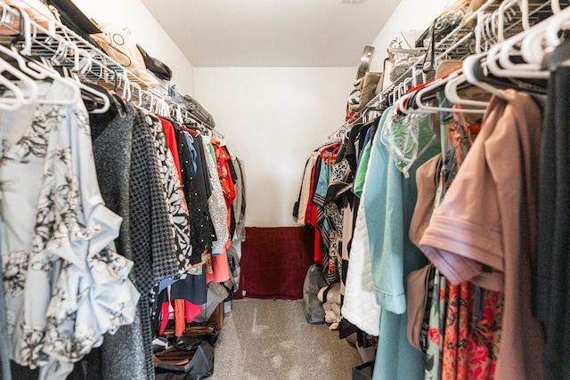 spacious closet featuring carpet flooring