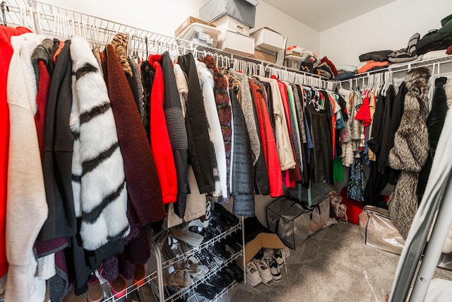 walk in closet with carpet flooring