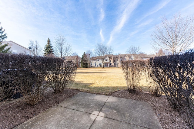 view of yard featuring a patio