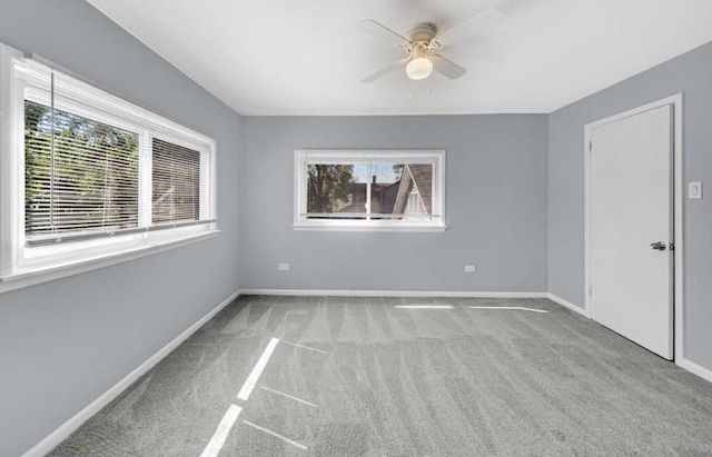 carpeted empty room with ceiling fan and a healthy amount of sunlight