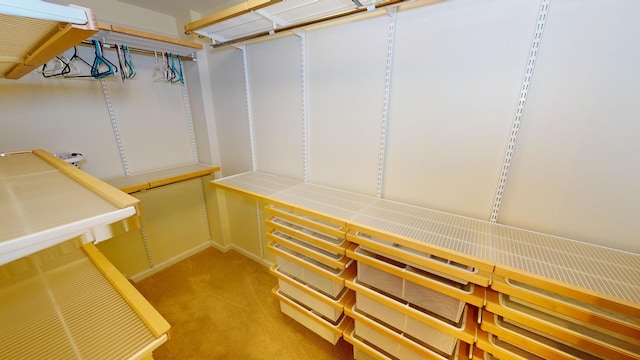 spacious closet with light carpet