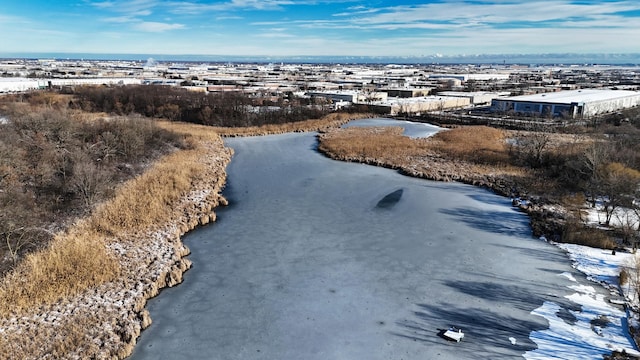 birds eye view of property with a water view