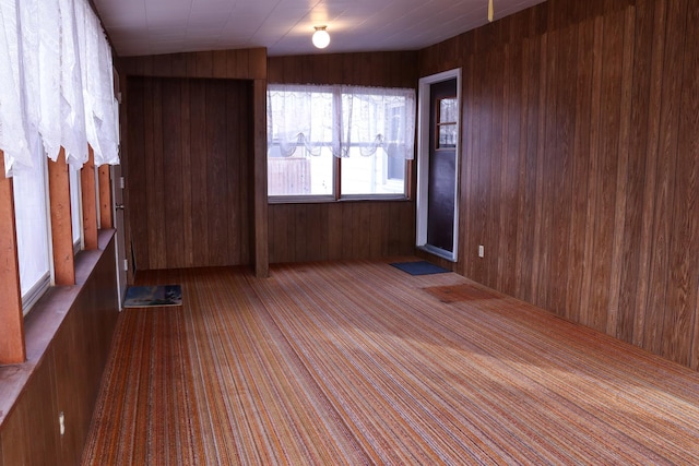 401 Ash Ave, Morrison, IL 61270 - empty room featuring wood walls and carpet