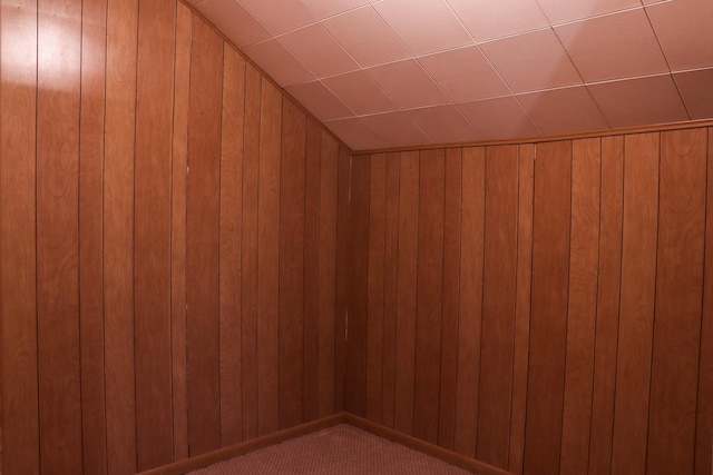 additional living space with wooden walls