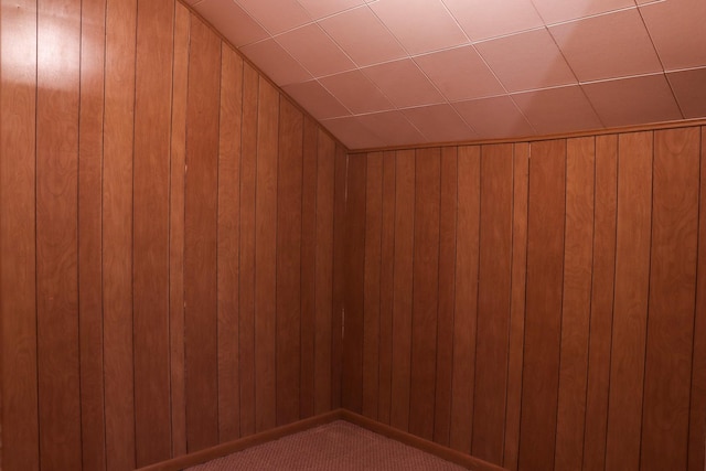 401 Ash Ave, Morrison, IL 61270 - detailed view of wooden walls and carpet