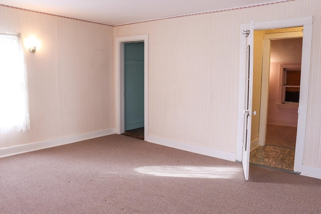 unfurnished room with carpet flooring