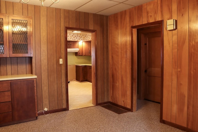 401 Ash Ave, Morrison, IL 61270 - hall featuring wood walls and carpet floors