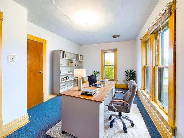 office area featuring carpet and baseboards