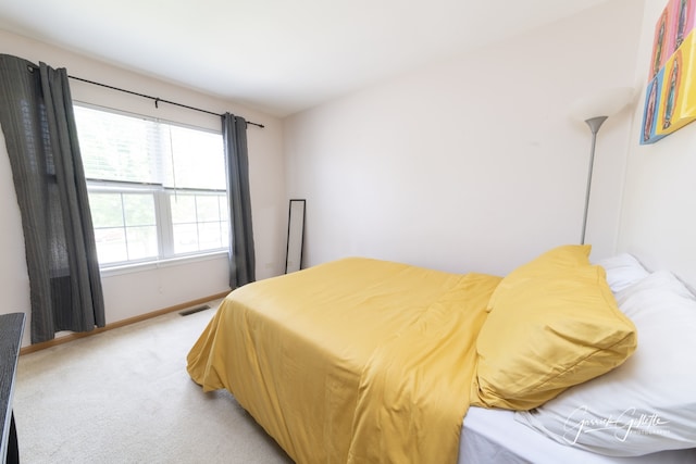 3616 Thomas Ct, Plano, IL 60545 - bedroom featuring light colored carpet and baseboards
