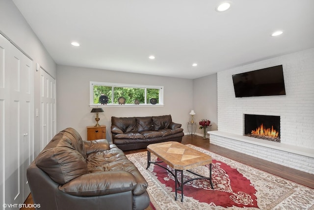 living room featuring a fireplace and wood-type flooring