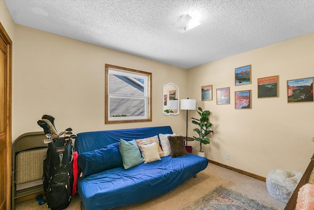 living area featuring carpet and a textured ceiling