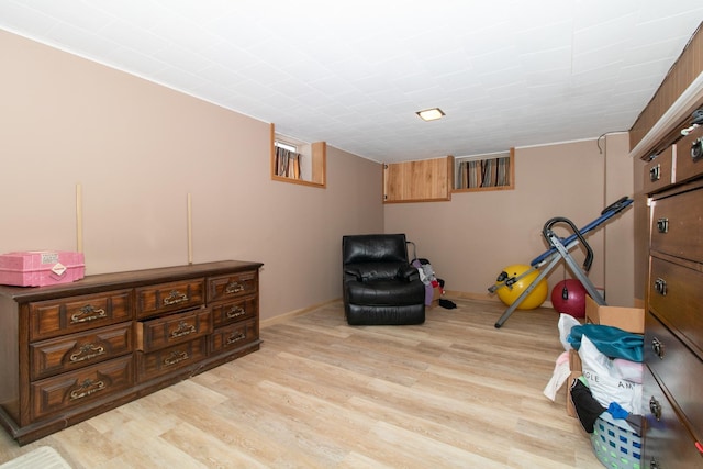 playroom featuring light hardwood / wood-style flooring