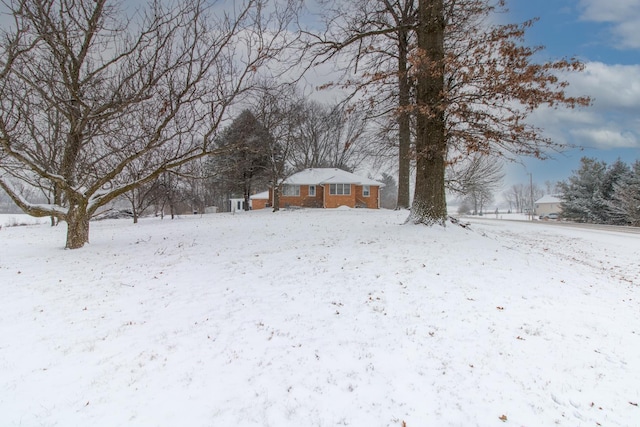 view of snowy yard