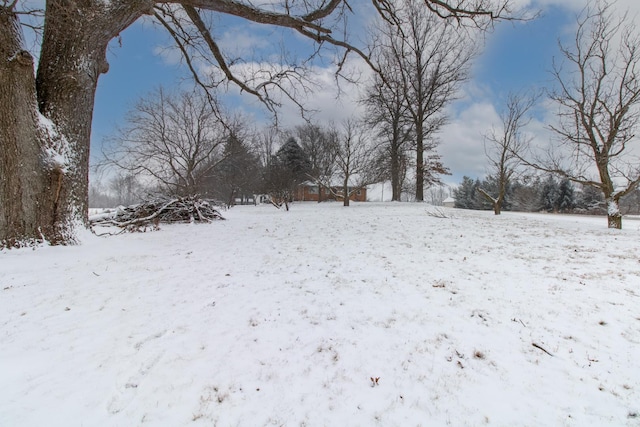 view of yard covered in snow