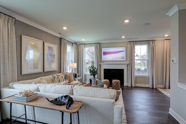 living room with dark hardwood / wood-style floors and crown molding