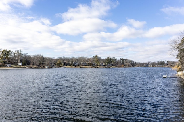 view of water feature