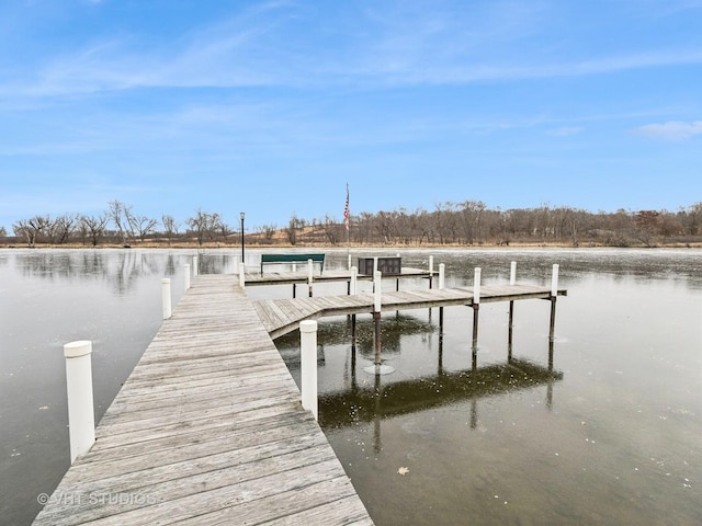 dock area with a water view