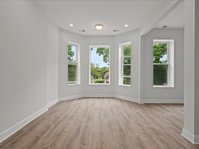 empty room featuring a wealth of natural light and light wood-type flooring