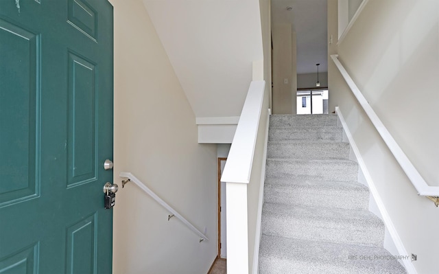 stairs with carpet floors