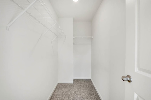 spacious closet featuring light colored carpet