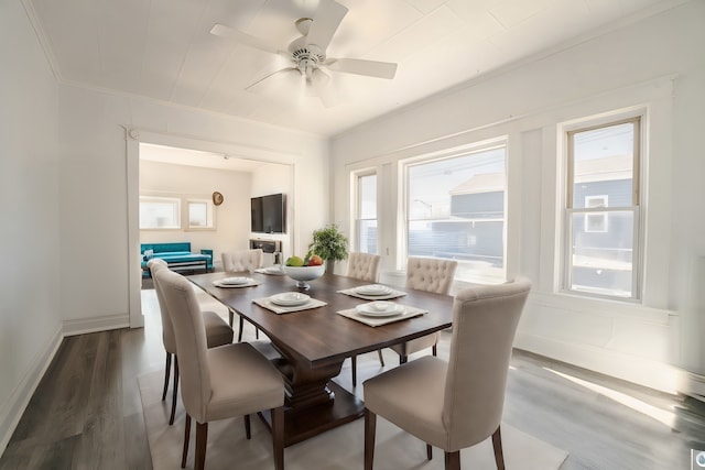 dining area featuring hardwood / wood-style floors, plenty of natural light, and ceiling fan