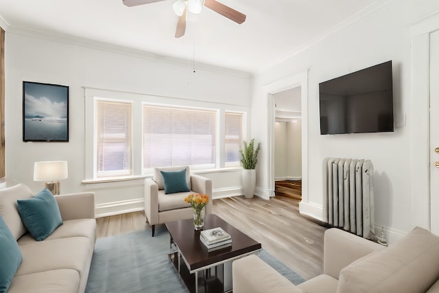 living room with wood-type flooring, radiator heating unit, and crown molding