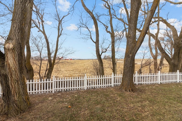 view of yard featuring a rural view