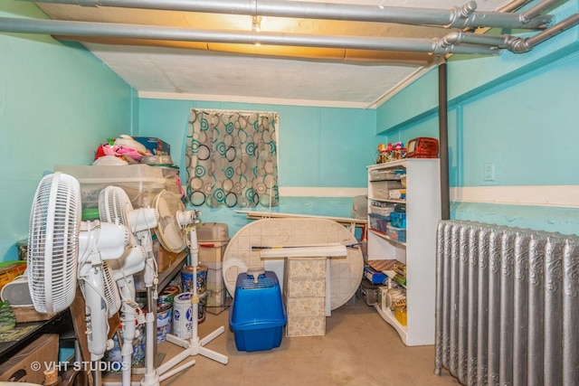 storage area featuring radiator