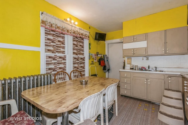 dining room featuring radiator heating unit, dark hardwood / wood-style flooring, and sink