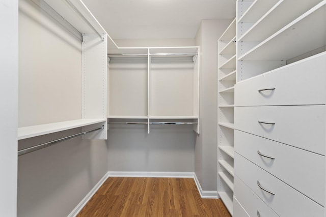 walk in closet featuring hardwood / wood-style flooring