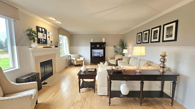 living room with a fireplace, light wood-type flooring, and ornamental molding