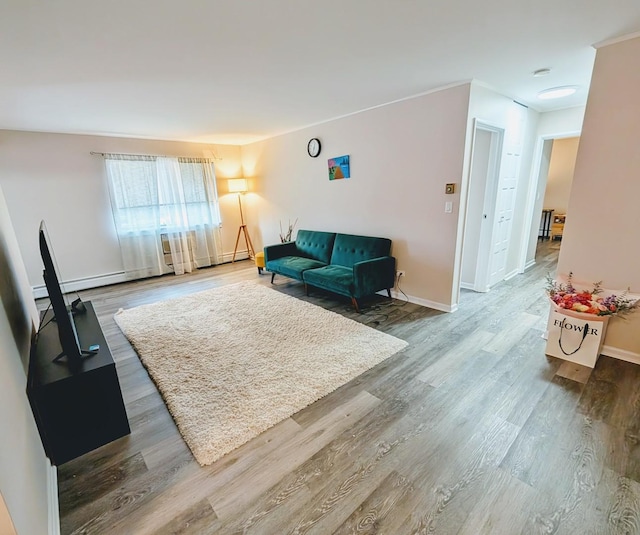 living room with wood-type flooring